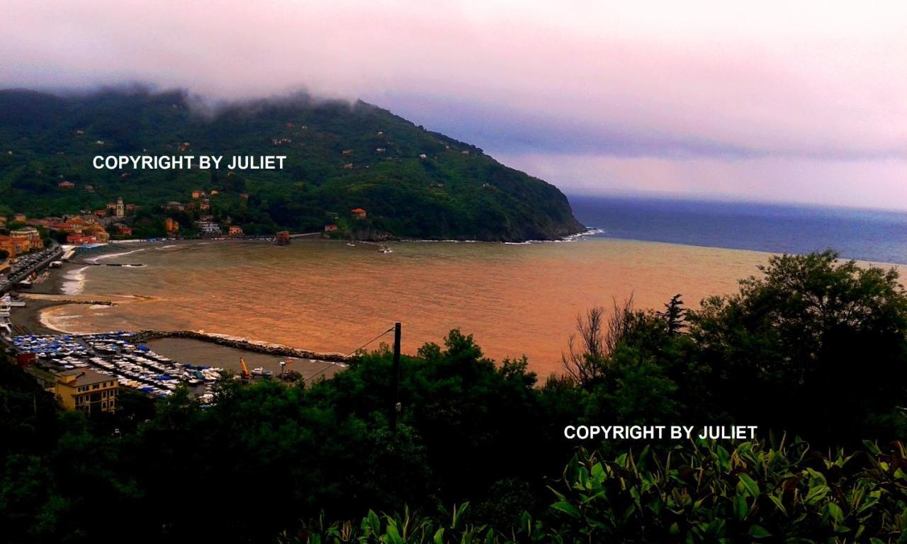 Juliet - Apartment In Liguria 5 Terre Unesco Site レヴァント エクステリア 写真